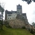 1 Day, 2 attractions: Bears Sanctuary and Bran Castle 1 Day, 2 attractions: Bears Sanctuary and Bran Castle
